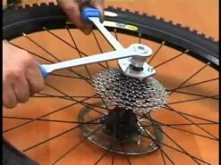 Unior Kasett Avdrager/Motholder 13/14 -Endura Sykler Butikk 14tandsunior051115 01