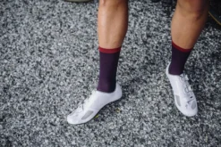 Isadore Climber's Socks, Albula -Endura Sykler Butikk Isadore Climbers Socks Albula 1623142972 02